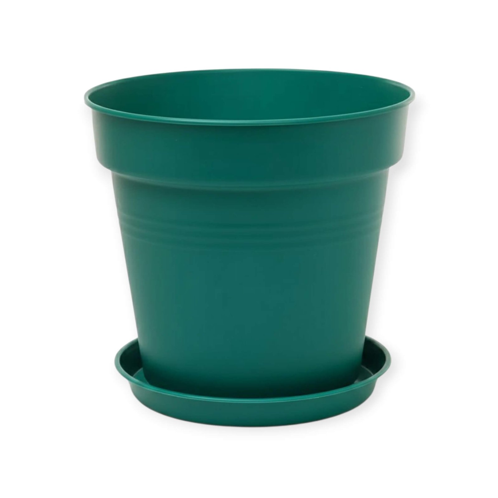 وعاء زهور من مينترا بالطبق مقاس 17 سم