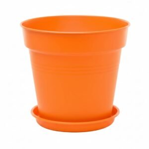 وعاء زهور من مينترا بالطبق مقاس 17 سم