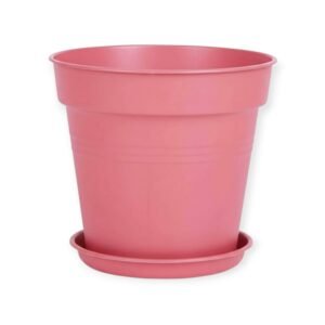 ⁦⁦وعاء زهور من مينترا بالطبق مقاس 17 سم⁩⁩