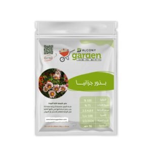 بذور زهور الجزانيا (Gazania) – لمسة من سحر الشمس في حديقتك