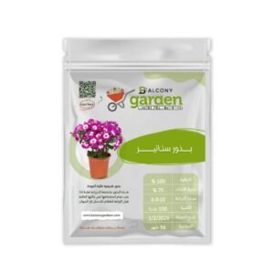 بذور زهور السنانير (Cineraria) – لمسة من الألوان الساحرة لحديقتك